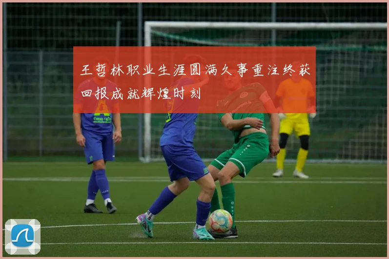 王哲林职业生涯圆满久事重注终获回报成就辉煌时刻